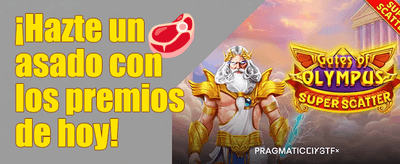 Agente Playuzu Chile